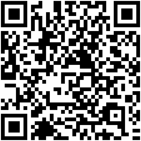 QR-Code: https://land-der-ideen.de/en/project/bronxberlinconnection-transatlantic-youth-exchange-627