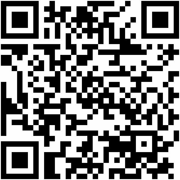 QR-Code: https://land-der-ideen.de/en/project/holdenoberbuergermeister-24