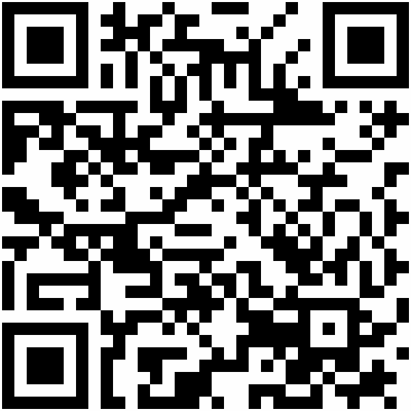 QR-Code: https://land-der-ideen.de/en/project/master-instruments-for-children-291