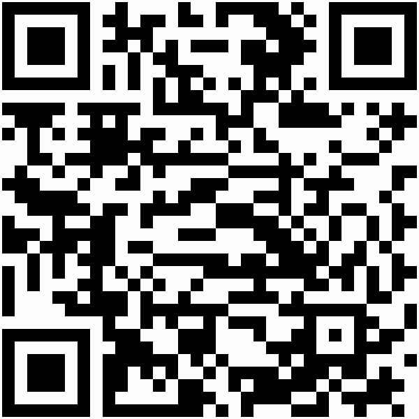 QR-Code: https://land-der-ideen.de/netzwerke/agyle/young-leaders-2024/aadam-longi