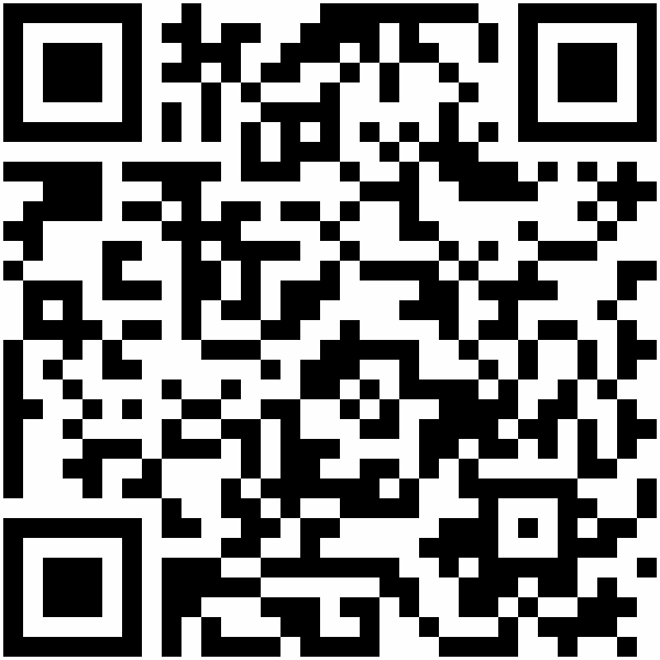 QR-Code: https://land-der-ideen.de/projekt/jahr-der-jugend-2011-in-magdeburg-2872