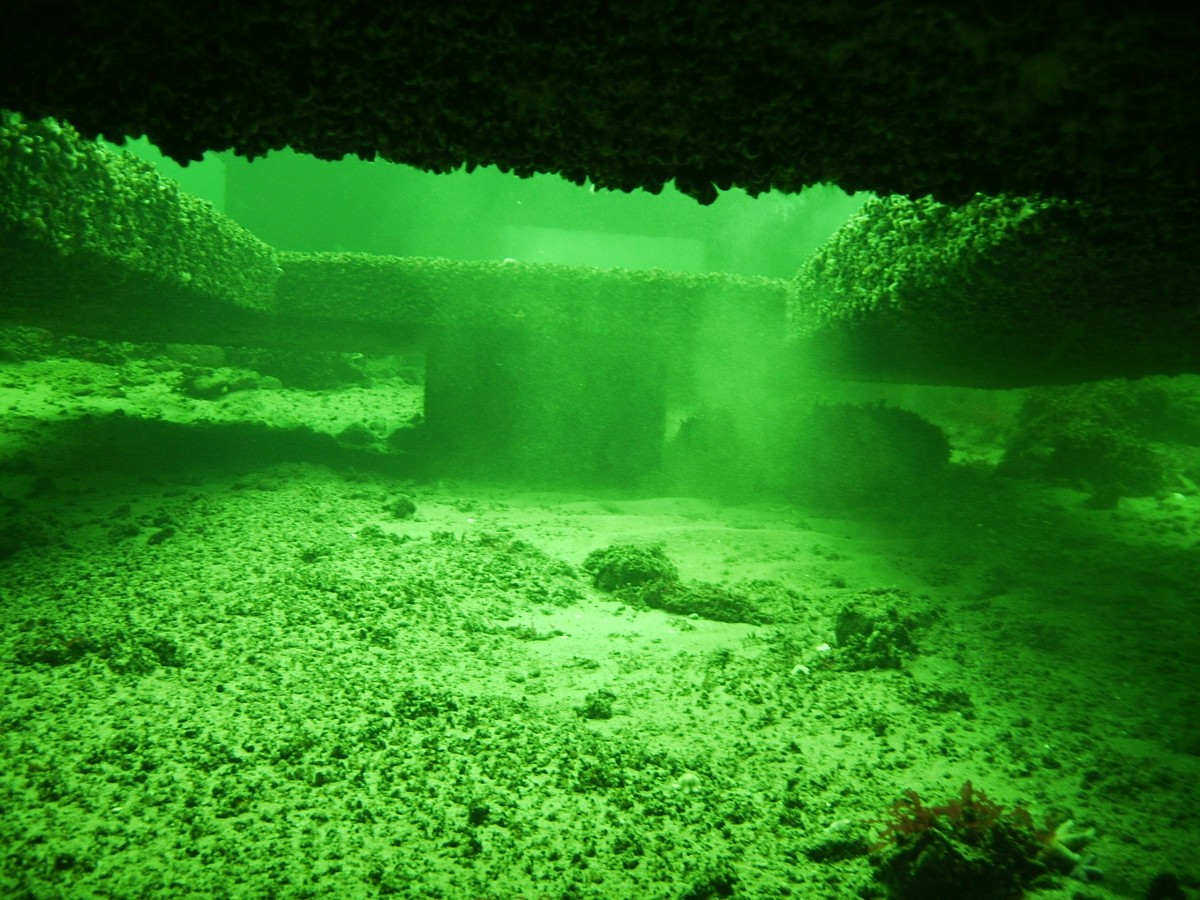 Seestation Baltic Reef Nienhagen